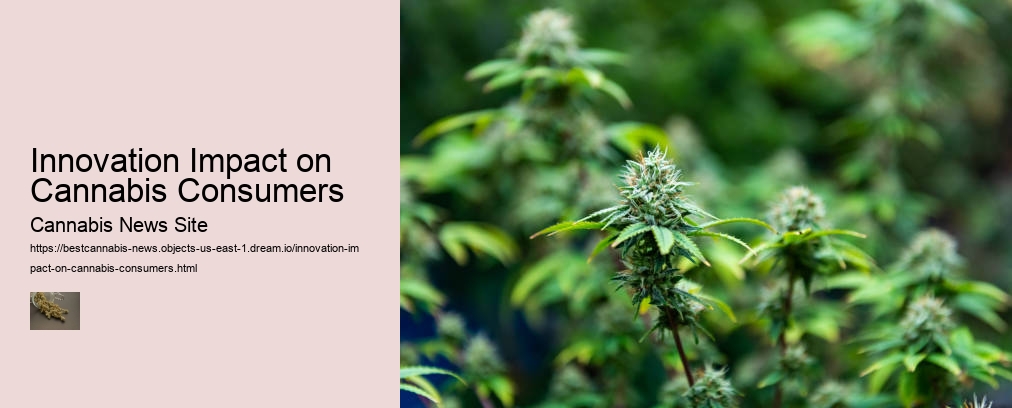 Innovation Impact on Cannabis Consumers